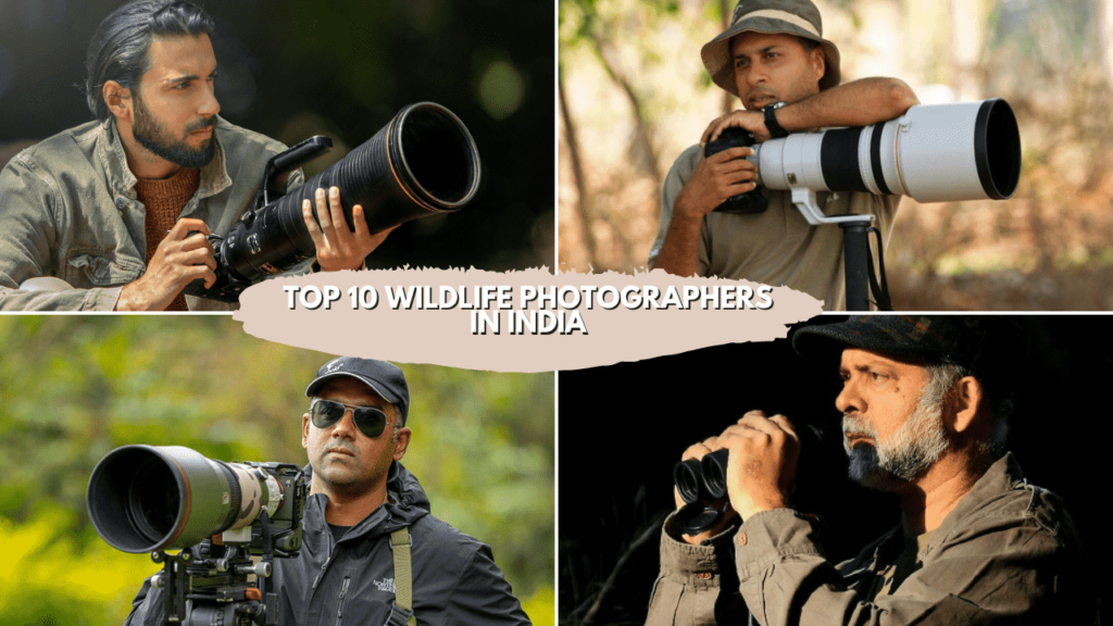 Top 10 Wildlife Photographers in India Wildlife photographers in India